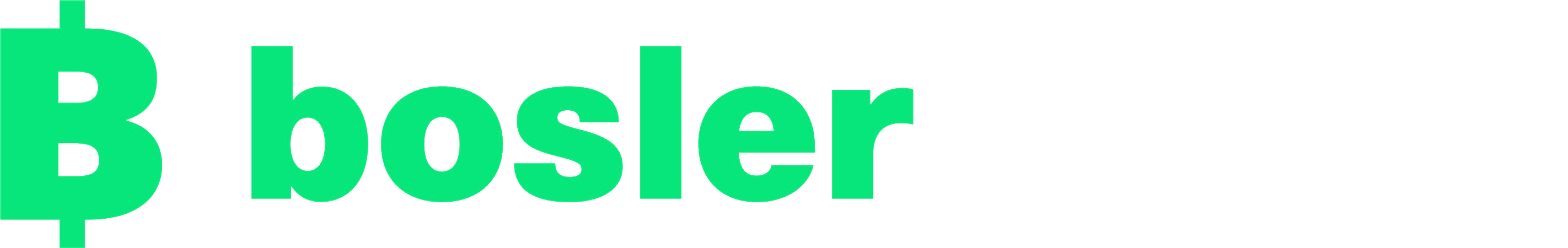 Bosler Börse